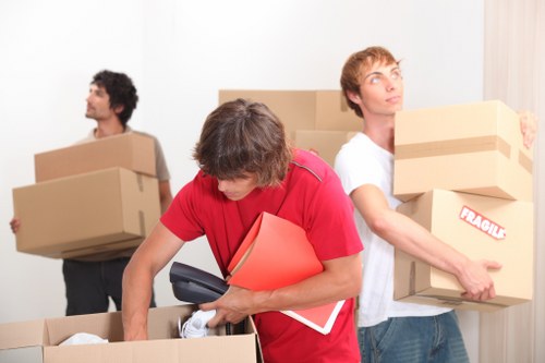 Kingston man and van team handling boxes and furniture